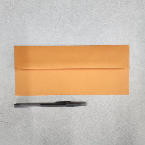 #10 Orange Fizz Envelopes 25/Package