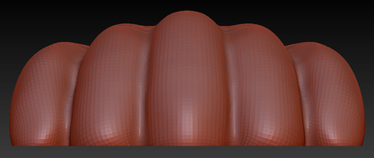 10.2" Wide 5-Toe Large Foam Paw Set