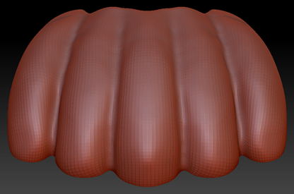 10.2" Wide 5-Toe Large Foam Paw Set