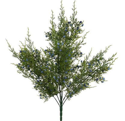 21"L Blue Oregon Juniper/Berry Bush