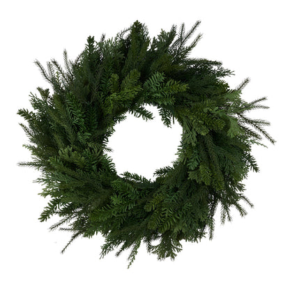 24"Dia Cedar/Mixed Pine/Juniper Wreath