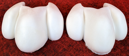 7.5" Wide 3-Toe Small Foam Paw Set
