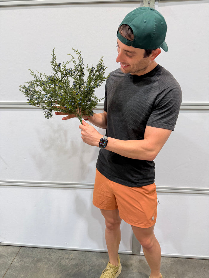 21"L Blue Oregon Juniper/Berry Bush