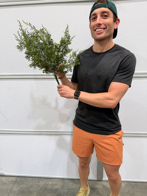 21"L Blue Oregon Juniper/Berry Bush