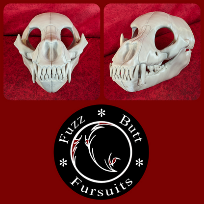 Bear Skull