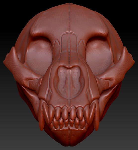 Bear Skull