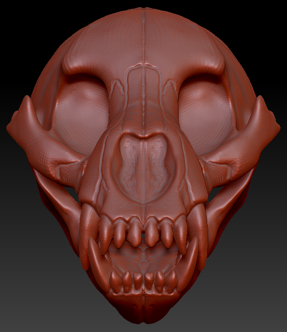 Bear Skull