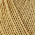 3325 Delicata