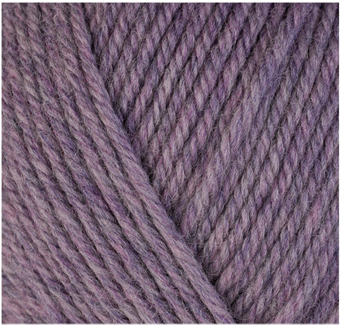 33123 Iris