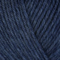 33138 Delphinium