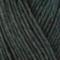 33158 Rosemary