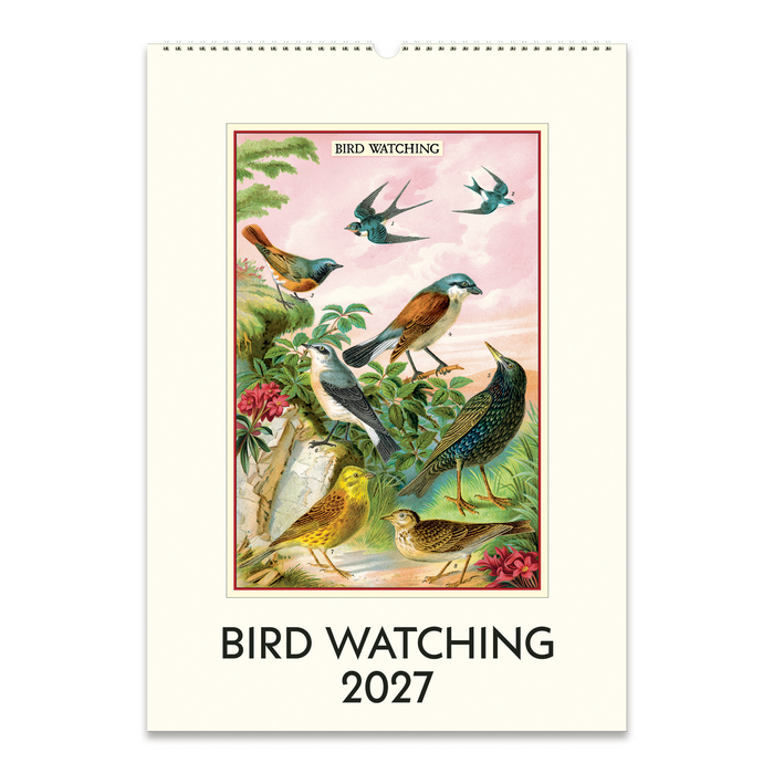 Bird Watching Wall Calendar 2027