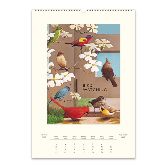 Bird Watching Wall Calendar 2027