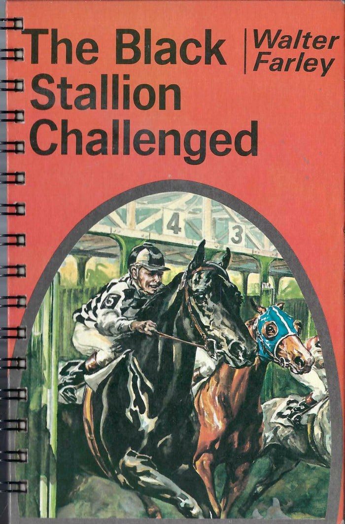 Black Stallion Challenged
