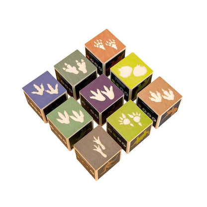 Blocks - Dinosaurs (Set of 9) by Uncle Goose