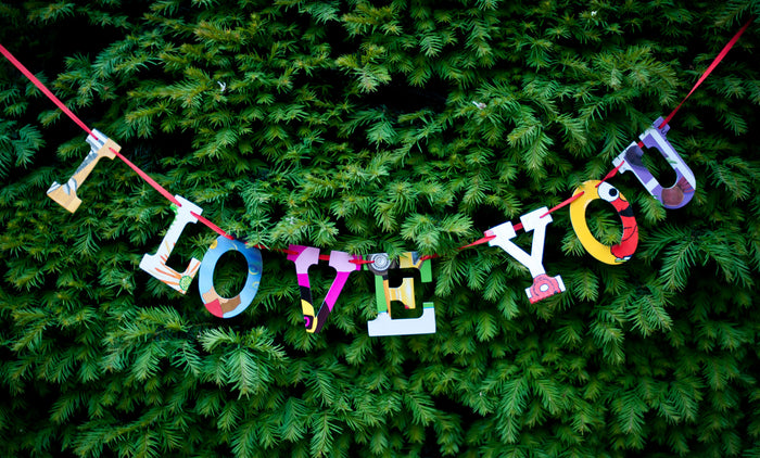 Board Book Phrase Garland Kit - I LOVE YOU
