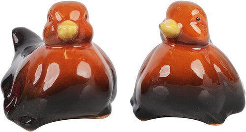 Brown Duck Salt and Pepper Shaker Set