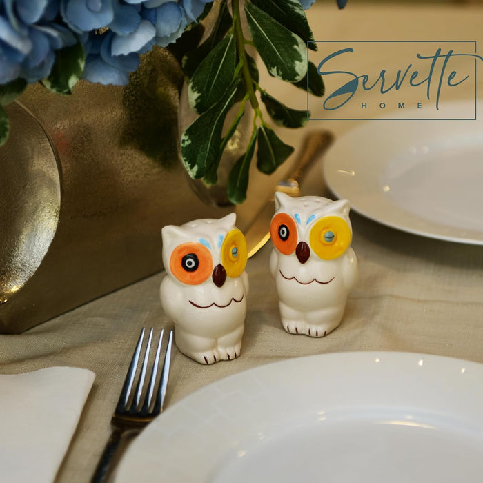 Ceramic Owl Salt and Pepper Shaker Collectors