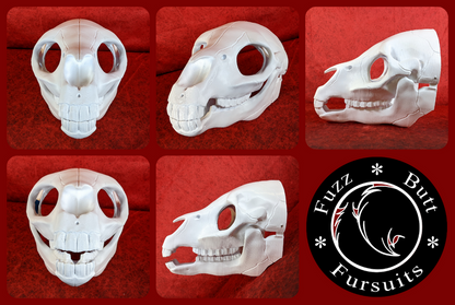 Equine Skull