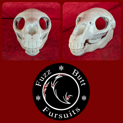 Equine Skull