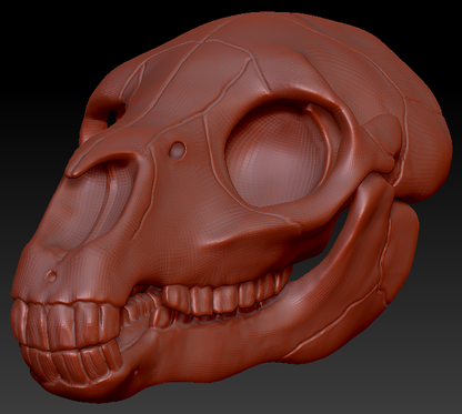 Equine Skull
