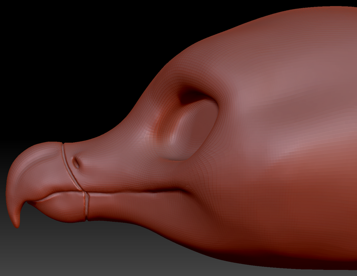 Feminine Bearded Vulture Head Base