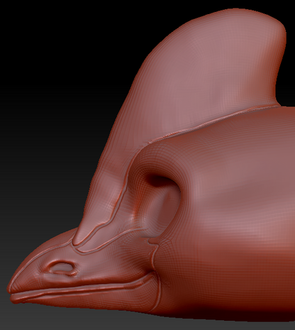 Feminine Cassowary Head Base