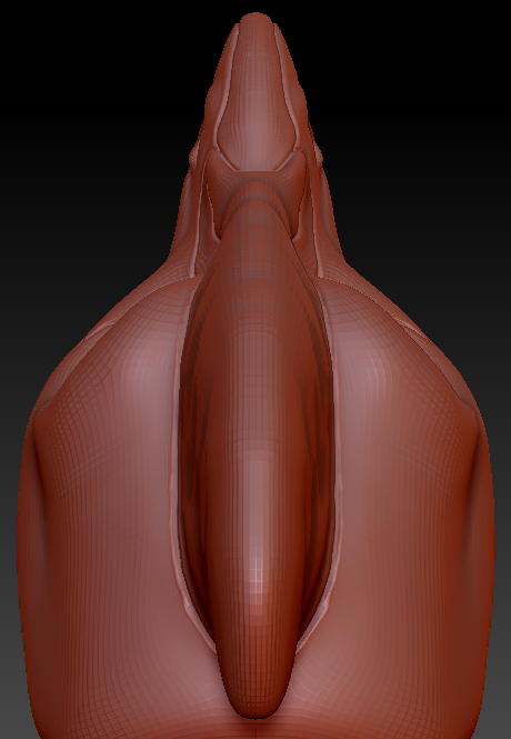 Feminine Cassowary Head Base