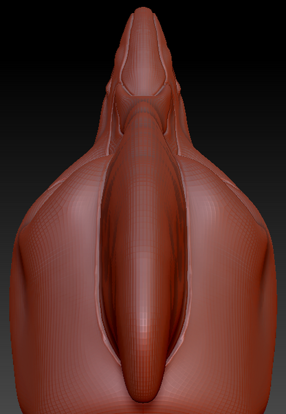 Feminine Cassowary Head Base