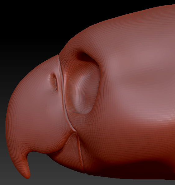 Feminine Toony Bird Head Base Variant 4
