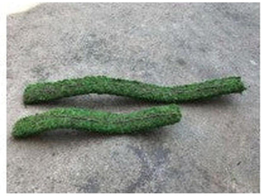 Galapagos Flexible Bridge, 24" (Fresh Green) Galapagos