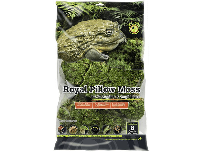 Galapagos Royal Pillow Moss, 150 in³ Galapagos