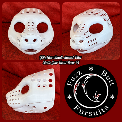Gender Neutral Asian Small-clawed Otter Static Jaw Head Base Variant 1