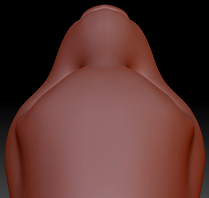 Gender Neutral Asian Small-clawed Otter Static Jaw Head Base Variant 1