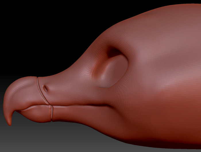 Gender Neutral Bearded Vulture Head Base