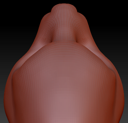 Gender Neutral Hamster Head Base