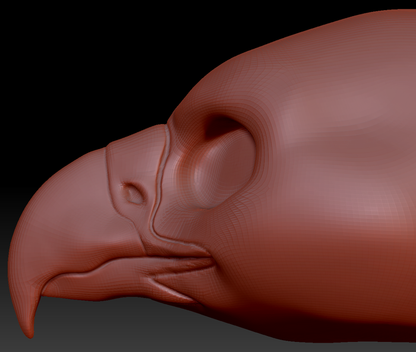 Gender Neutral Harris Hawk Head Base
