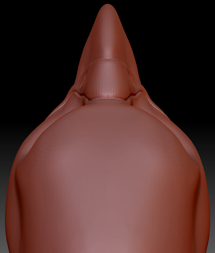 Gender Neutral Harris Hawk Head Base