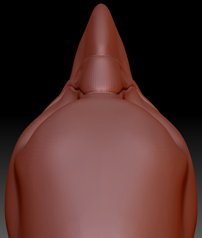 Gender Neutral Harris Hawk Head Base