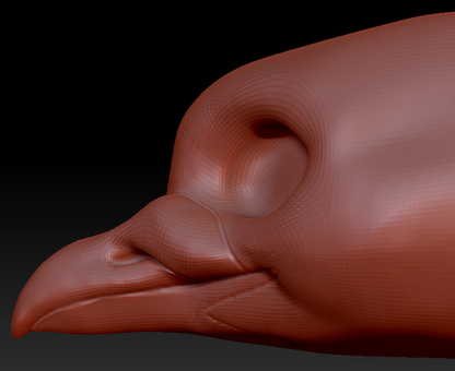 Gender Neutral Pigeon Head Base