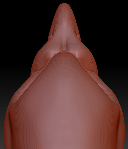 Gender Neutral Pigeon Head Base