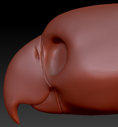 Gender Neutral Toony Bird Head Base Variant 5