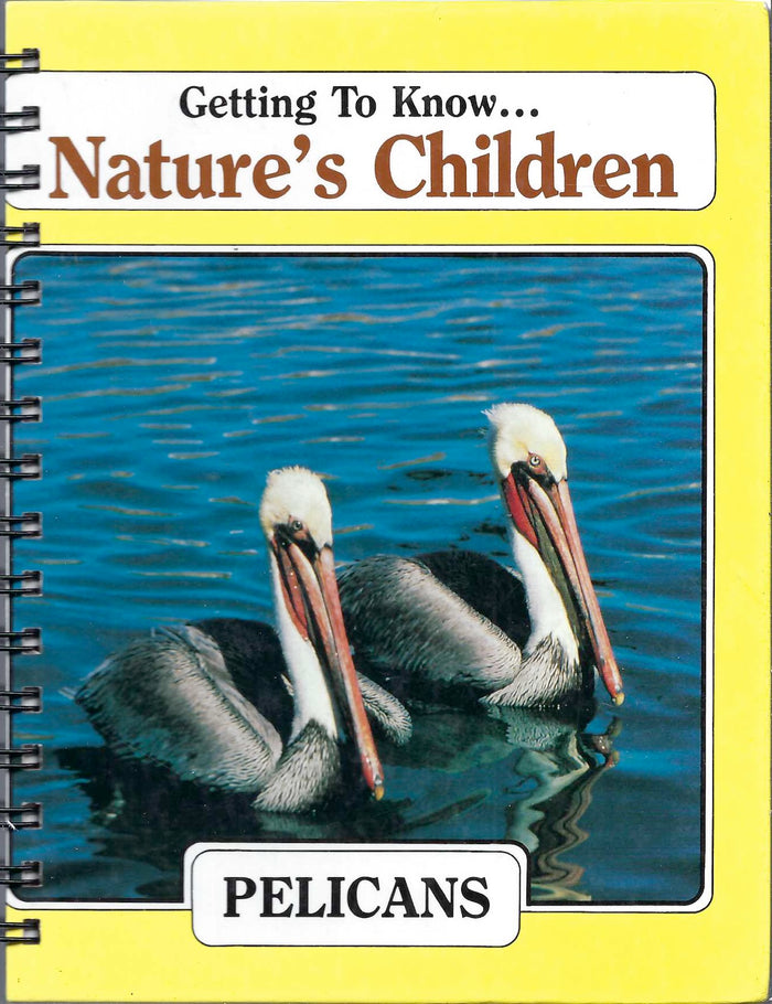Getting to Know... Nature's Children Pelicans