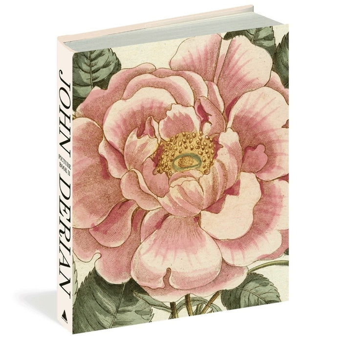 John Derian Picture Book II