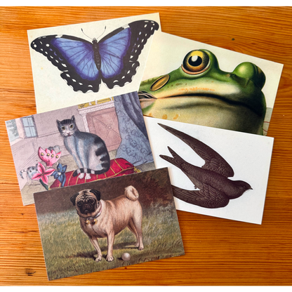 John Derian Postcard Pack No. 2 - Set 5