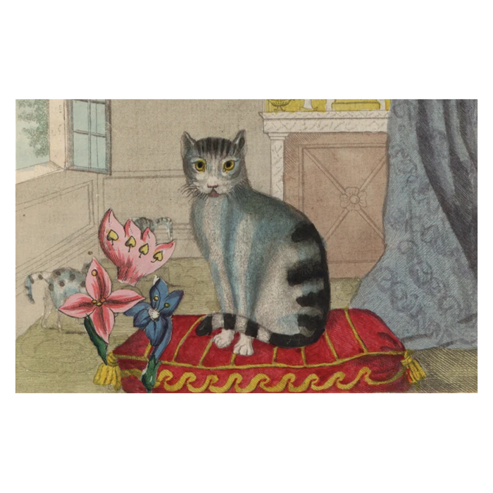 John Derian Postcard Pack No. 2 - Set 5