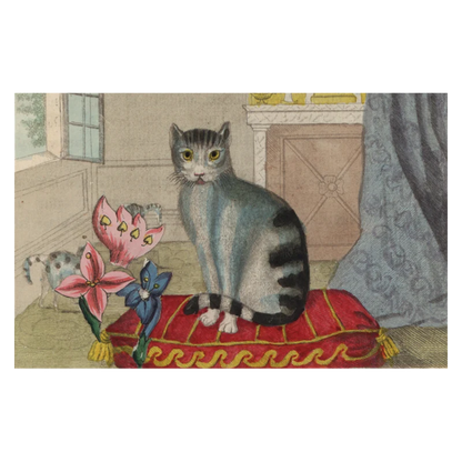 John Derian Postcard Pack No. 2 - Set 5