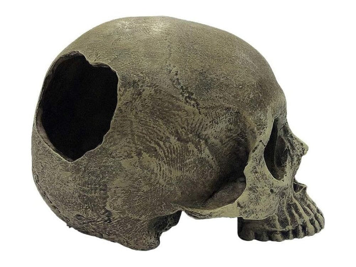 Komodo Half Human Skull Reptile Hideout Gray One Size Komodo
