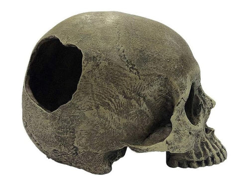 Komodo Half Human Skull Reptile Hideout Gray One Size Komodo