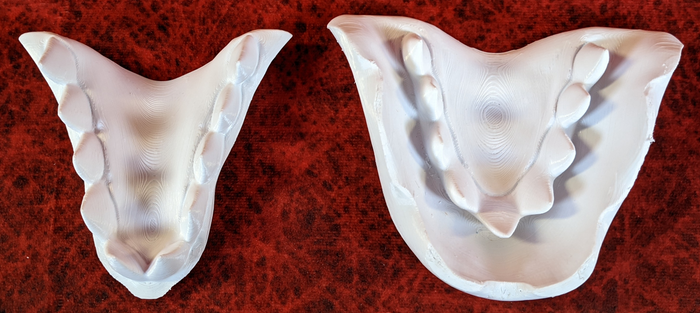Large Avali Jawset